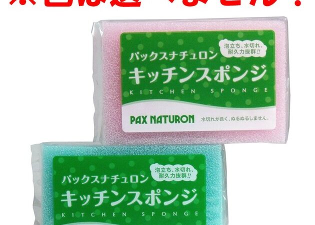 Kitchen Sponge 1-pcs | Import Japanese products at wholesale prices