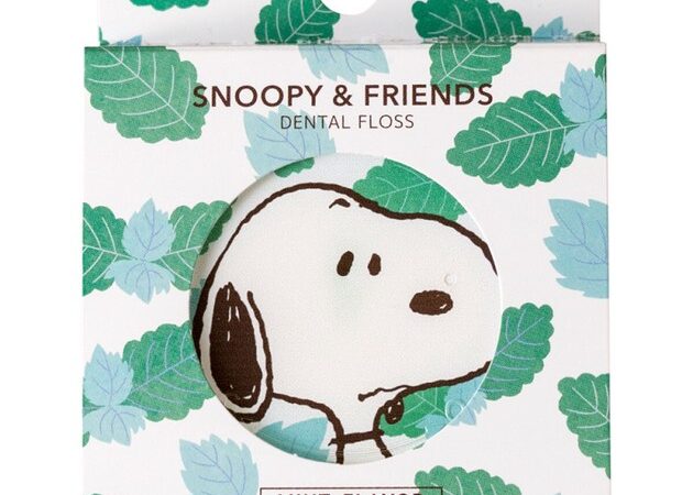 Toothbrushe Snoopy 50m | Import Japanese products at wholesale prices