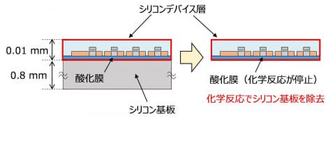 NHK技術研發：厚度僅0.01mm的曲面感光元件研發成功