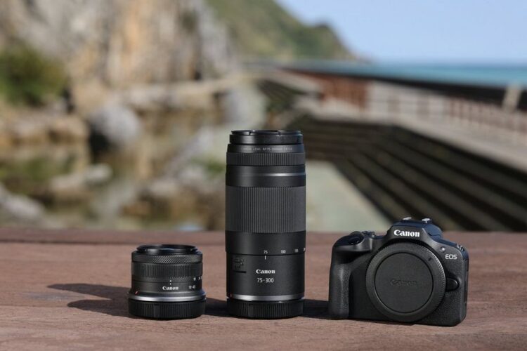 Canon RF 75-300mm F4.5-6 IS STM 評測：輕便長焦鏡頭，入門攝影者的高CP值選擇！